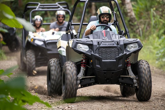 Half Day Jungle Buggies in Bali with Guide - Mason Gourmet Chocolate Factory Stop: A Sweet Reset