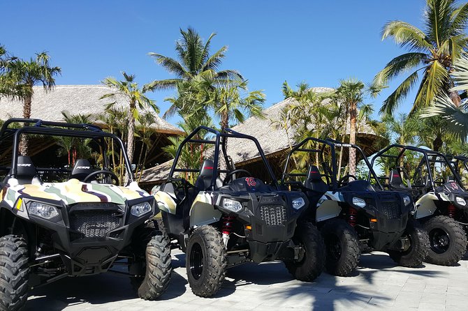 Half Day Jungle Buggies in Bali with Guide - Price and Value: Why $57 Can Work for You