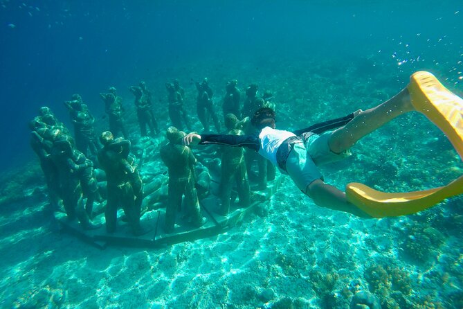 Half-Day Private Guided Snorkeling Turtles Underwater Statues - Fish Garden and Turtle Point: how the tour actually targets sea turtles