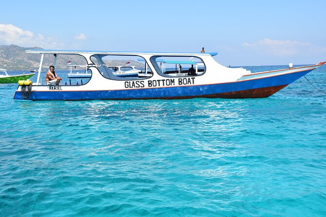 Half-Day Private Guided Snorkeling Turtles Underwater Statues - Included gear, optional GoPro, and the one quality check I’d do