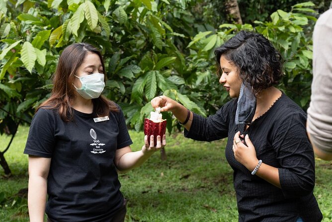Half-Day Private Tour to Tanah Lot and Bali Royal Temple - Pod Chocolate Main Factory & Outlet: what you’ll taste and why it matters