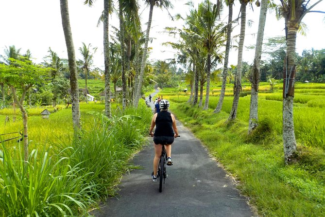 Half-Day Ubud Electric Cycling Tour to Tirta Empul Water Temple - E-Bikes Turn Ubud’s Hills Into a Morning You Can Enjoy