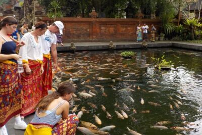 Half-Day Ubud Electric Cycling Tour to Tirta Empul Water Temple - Pickup, Timing, and the Route Rhythm (Start at 8:00 AM)