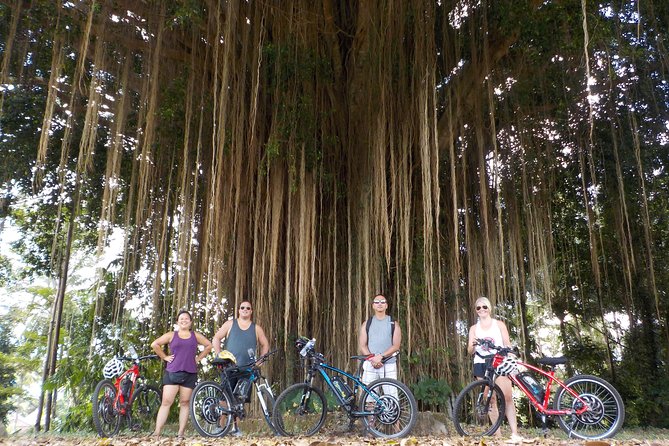 Half-Day Ubud Electric Cycling Tour to Tirta Empul Water Temple - Lunch After the Sacred Springs: Pangkon Bali Resto & Agrotourism