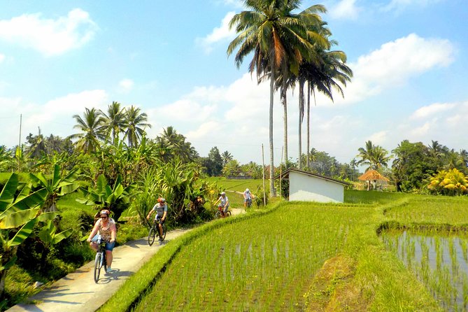 Half-Day Ubud Electric Cycling Tour to Tirta Empul Water Temple - Guides, Safety, and the Big Benefit of a Small Group