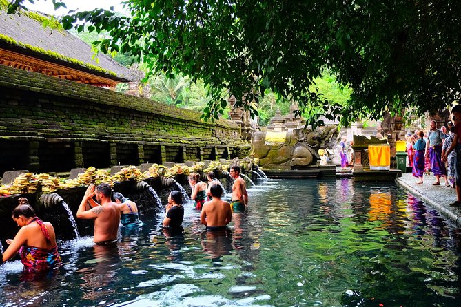 Half-Day Ubud Electric Cycling Tour to Tirta Empul Water Temple - Price and Value: Is $49 a Good Deal?