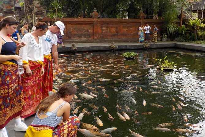 Half-Day Ubud Electric Cycling Tour to Tirta Empul Water Temple - Pickup, Timing, and the Route Rhythm (Start at 8:00 AM)