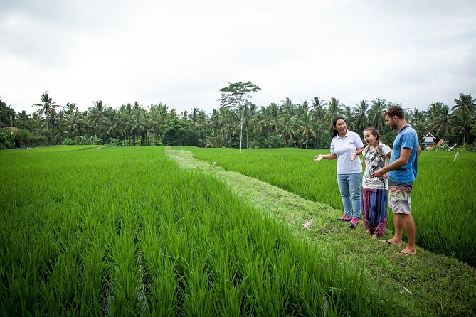 Half-Day Ubud Heritage Food Tour - Quick take: what makes this food tour work