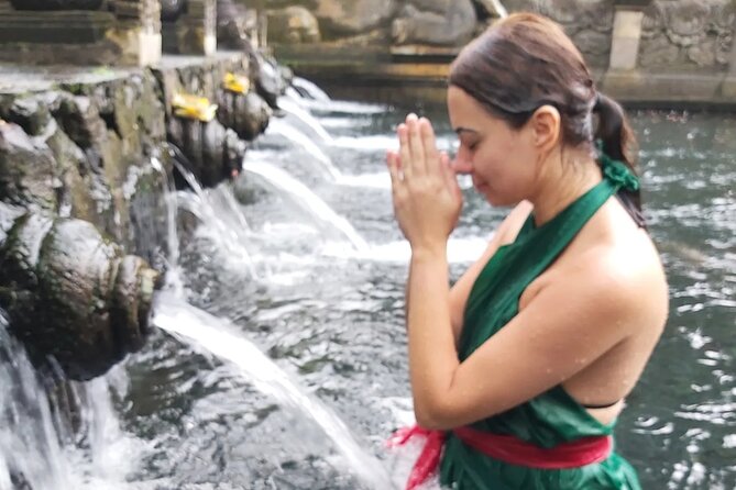 Half Day Ubud Tour - Private Guided Tour - Tegenungan Waterfall: the “quick wow” stop