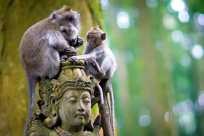 Half Day Ubud Tour: Ubud Unique Spots - What’s included—and what that means for your budget