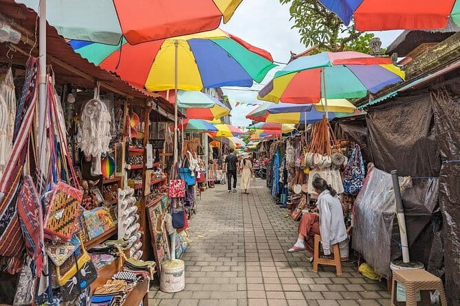 Half Day Ubud Village Private All Inclusive Tour - Who This Ubud Village Tour Is Best For