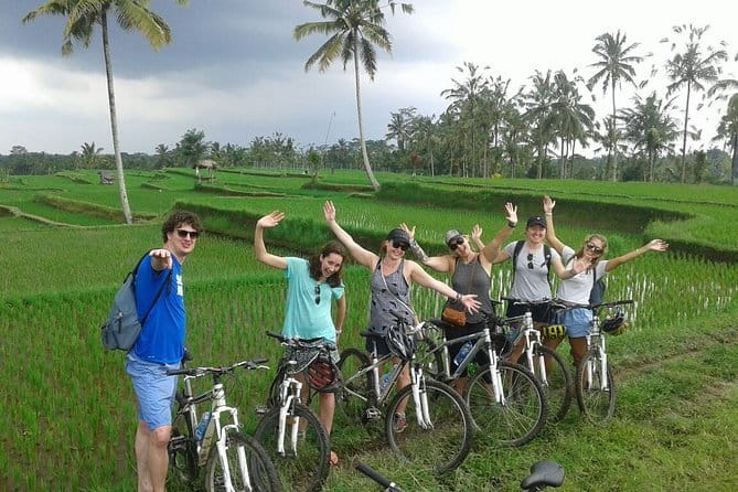 Halo Bike Cycling Tour Downhill - Where the Day Starts: Ubud Countryside Plus Morning Pickups