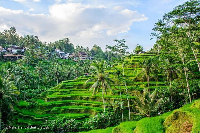 HALO BIKE Downhill Bali Countryside Cycling Tour - Temple stops and Balinese compounds: understanding what you’re seeing
