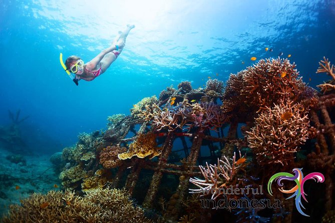 Have fun 1 day in Nusa Penida: snorkeling, kelingking & broken beach incl lunch - Key things worth knowing before you go