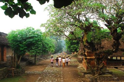 Heaven Gate East Bali Tour - Tirta Gangga: the king’s holy bathing place and koi-filled water gardens