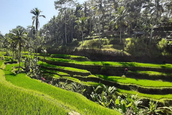 Heaven Gate, Tirtagangga and Tukad Cepung Waterfall - All Inclusive - Price and What You Actually Get for $95