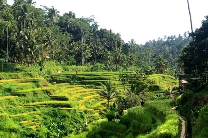 Heaven Gate, Tirtagangga and Tukad Cepung Waterfall - All Inclusive - Tukad Cepung Waterfall: How the Sun Rays Work