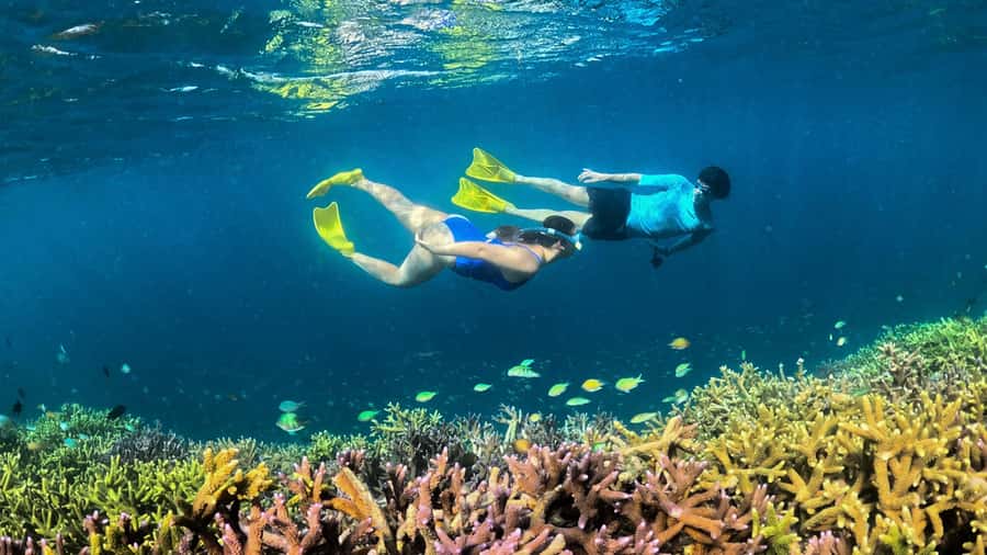 Hidden Gili's Lombok Snorkeling Daily Tour - A full east Lombok day built around mangroves and small islands