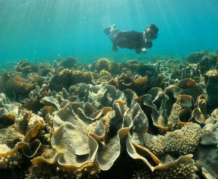 Hidden Gili's Lombok Snorkeling Daily Tour - The photo and GoPro setup: keeping memories without stressing
