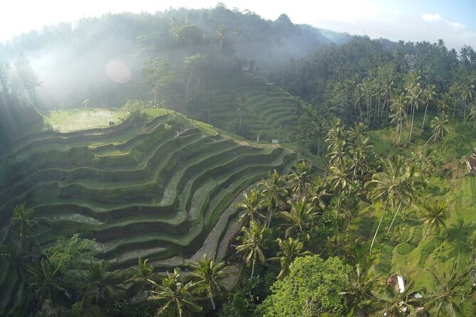 Hidden North Waterfall Bali All inclusive - Stop 2: Banyumala Twin Waterfalls and why two drops are better than one