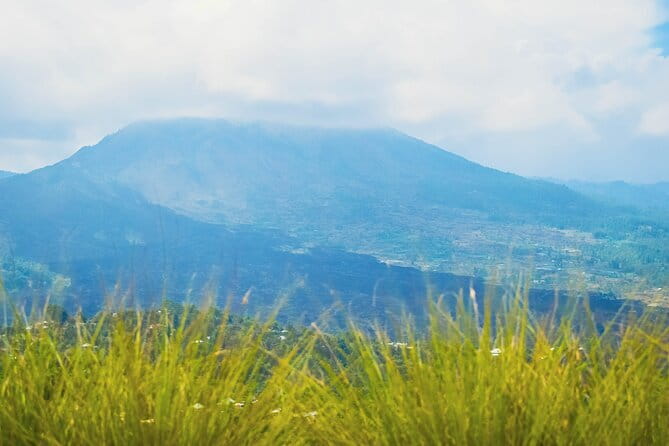 Highlight of Bali Tour - Value for $70.52: What You’re Really Paying For