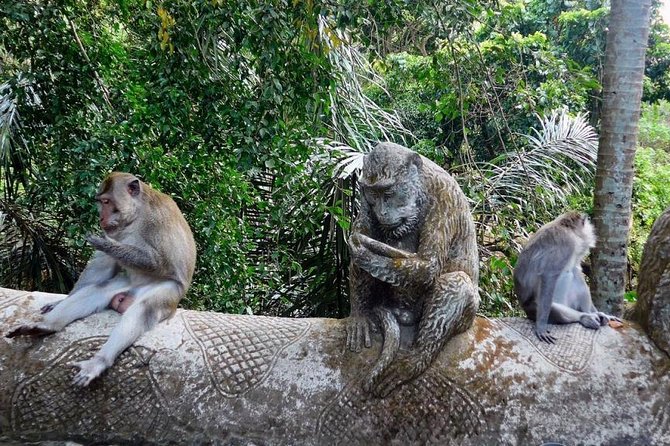 Hire Bali Driver for 10-hour (Bali as You Please) - The smart flow of the itinerary: Ubud, temples, terraces, and coast