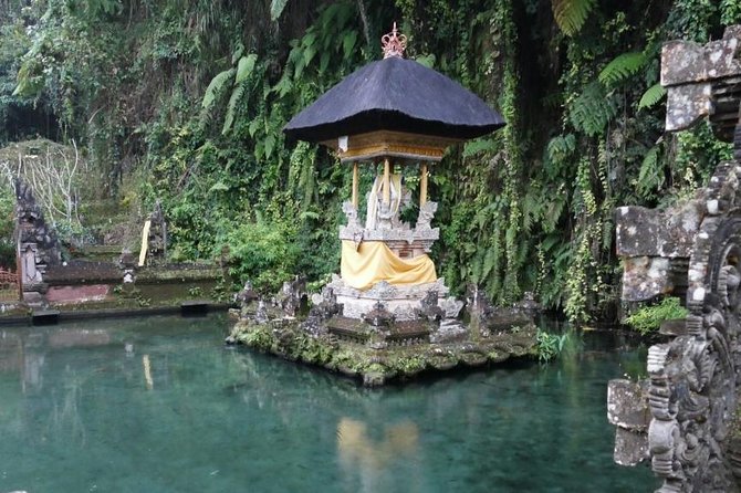 Hire Bali Driver for 10-hour (Bali as You Please) - Practical tips you’ll thank yourself for