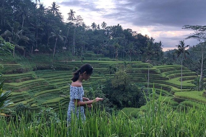 Hire Bali Driver for 10-hour (Bali as You Please) - FAQ