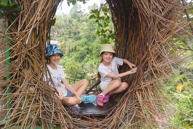 Hire Car with Driver in Bali - Stop 2: Tegalalang Rice Terrace Walk (Plus Swing Options)