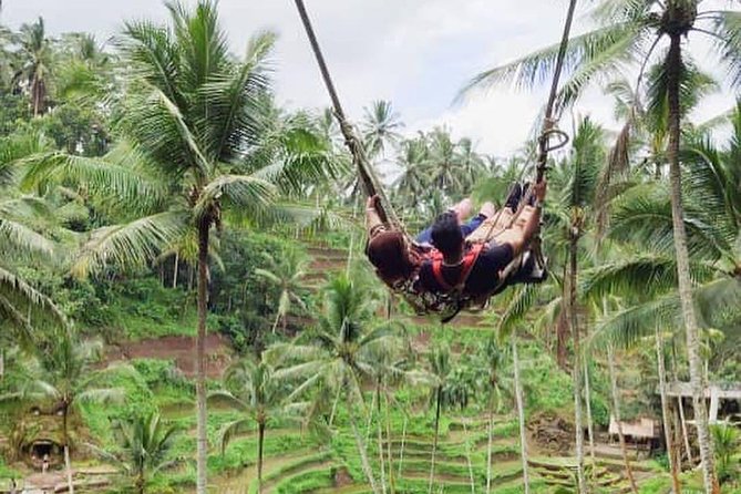 Hire Private Bali Driver - The driver’s role: why communication and driving skill matter