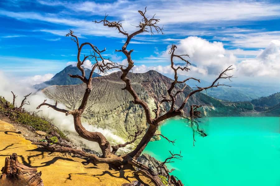 Ijen Crater Blue Fire Night Hike - Blue Flames in the Dark: What to Expect and Why You Might Miss Them