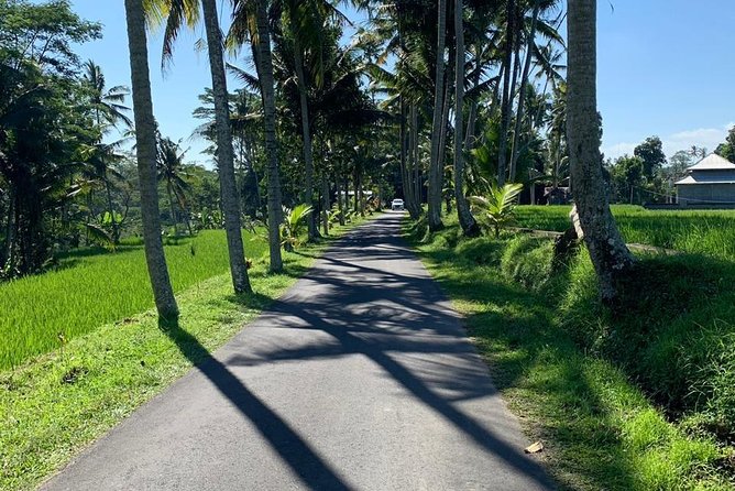 Individual Bali Day Trip with Private Driver and Free WiFi - Central Bali essentials: Monkey Forest, Ubud market, rice terraces, and Tirta Empul