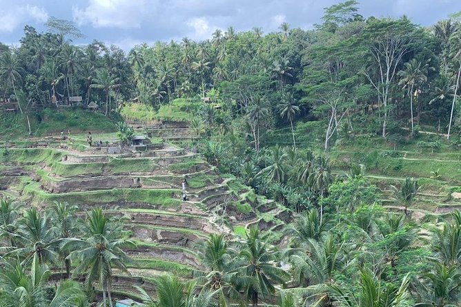Individual Bali Day Trip with Private Driver and Free WiFi - Beaches, fun stops, and art breaks: Seminyak, Canggu, Waterbom, and photo kits