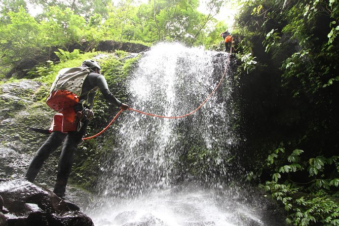 Intermediate canyoning trip in Bali " Samba canyon " - Inside Samba Canyon: slides, jumps, and abseils done the right way