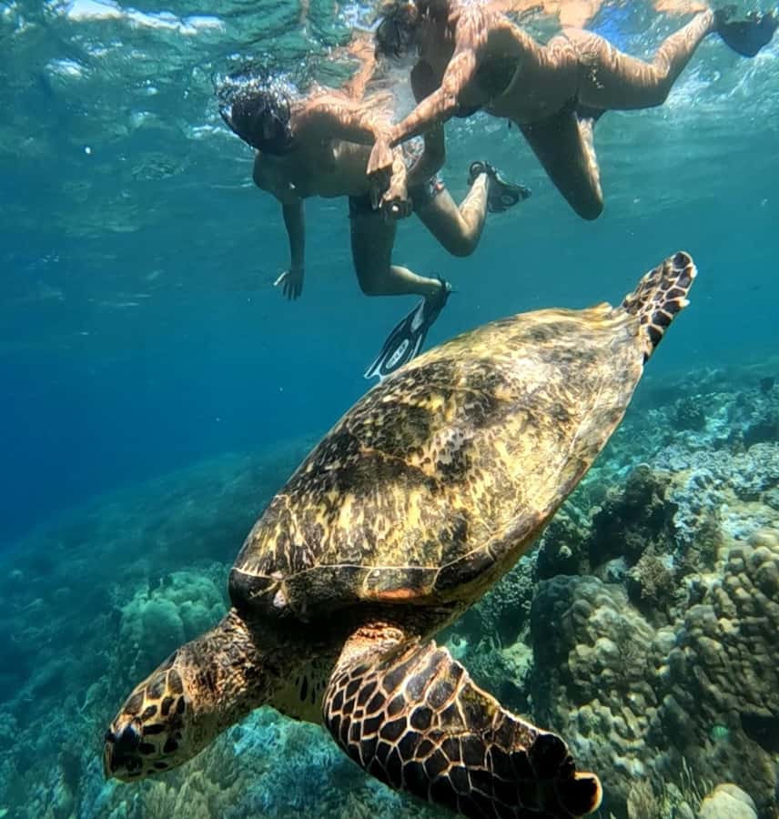 Island Hopping Gili Asahan, Gede, Rengit, Layar & Goleng - Gili Goleng: photos, free time, and a more open feel