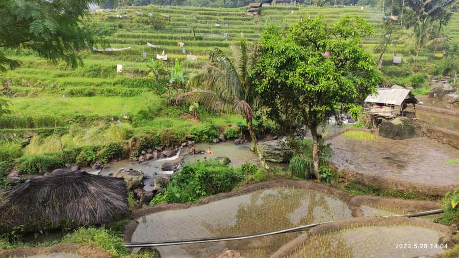 Jakarta: Active Volcano, Waterfall &beautiful local village - Tangkuban Perahu Volcano Walk: See the Main Crater Up Close