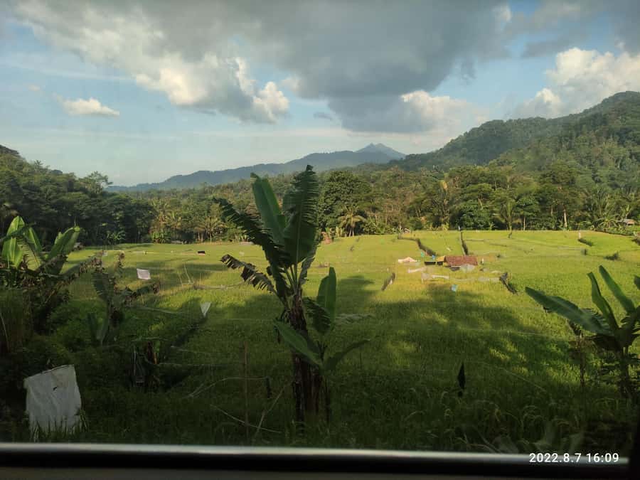 Jakarta: Active Volcano, Waterfall &beautiful local village - Desa Cibeusi: Rice Fields, Black and Red Rice, and Traditional Palm Sugar