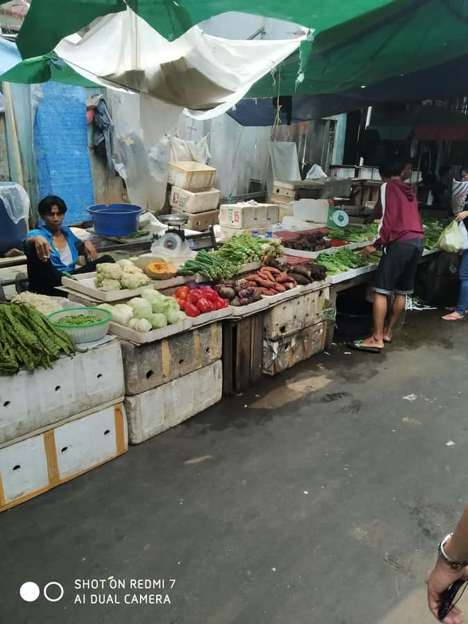 Jakarta: All-Inclusive Jakarta Heritage and Historical Tour - Dharma Bhakti Temple and the wet-market stop you’ll actually remember