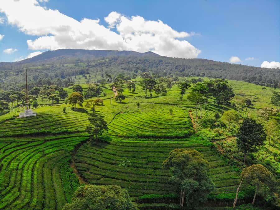 Jakarta: Bandung Volcano Day Tour - Key points to know before you go