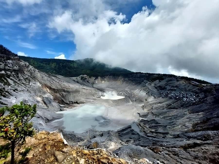 Jakarta: Bandung Volcano Day Tour - The Bandung tea plantation stop: from picking to your cup