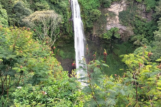 Jakarta Bogor Botanical Garden, Waterfall and Rice terrace, Lunch - Entering Kebun Raya Bogor’s botanical world