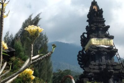 Jakarta Bogor Botanical Garden, Waterfall and Rice terrace, Lunch - The Gumati lunch break with a mountain-view pause
