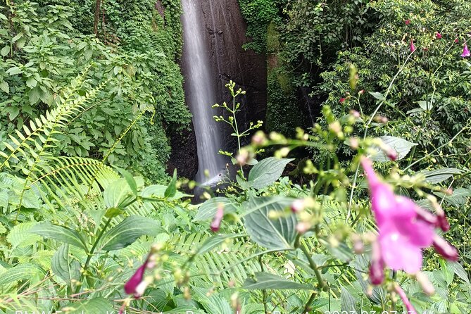 Jakarta Bogor Botanical Garden, Waterfall and Rice terrace, Lunch - Nangka Waterfall: pine walks, canyon-style paths, and three viewpoints
