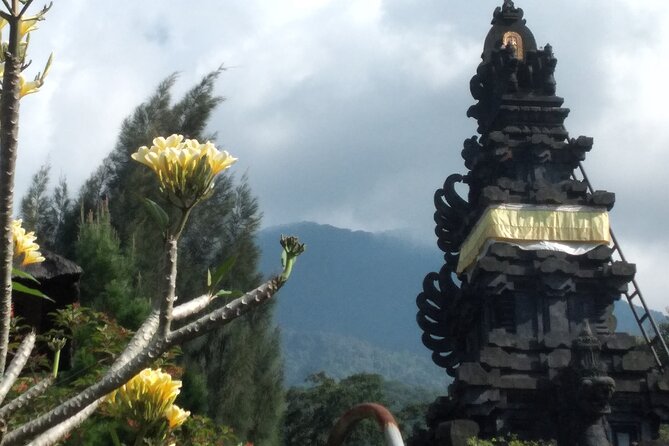 Jakarta Bogor Botanical Garden, Waterfall and Rice terrace, Lunch - The Gumati lunch break with a mountain-view pause