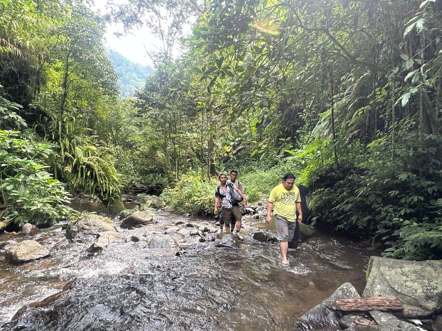 Jakarta: Botanical Garden & Rainforest Trekking to Waterfall - From Jakarta City Buzz to Bogor Countryside Calm