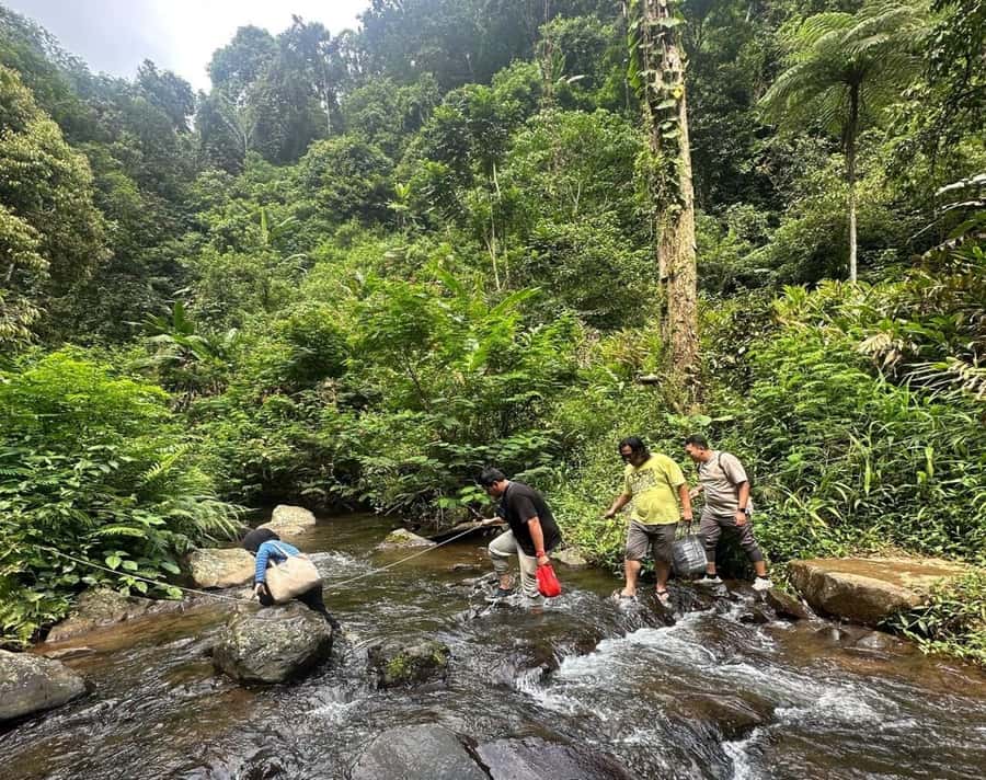 Jakarta: Botanical Garden & Rainforest Trekking to Waterfall - The Bogor Botanical Garden Stop: Plants, Shade, and a Presidential Palatial Moment