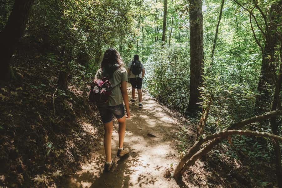 Jakarta: Botanical Garden & Rainforest Trekking to Waterfall - Rainforest Trekking to the Hidden 40-Meter Waterfall