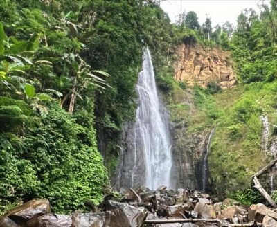 Jakarta: Botanical Garden & Rainforest Trekking to Waterfall - Rice fields and village life: what you’ll notice (and what you won’t)