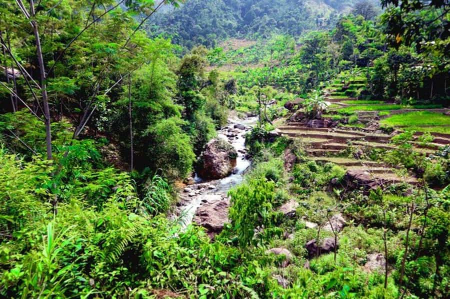 Jakarta: Botanical Garden & Rainforest Trekking to Waterfall - Crossing Rivers and Getting Wet: How to Pack for Comfort
