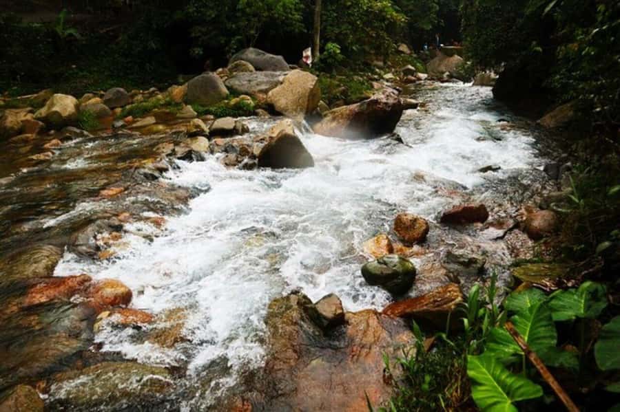 Jakarta: Botanical Garden & Rainforest Trekking to Waterfall - Private Vehicle, English Guide, and the Real Cost of Convenience